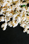 Parmesan and Herb