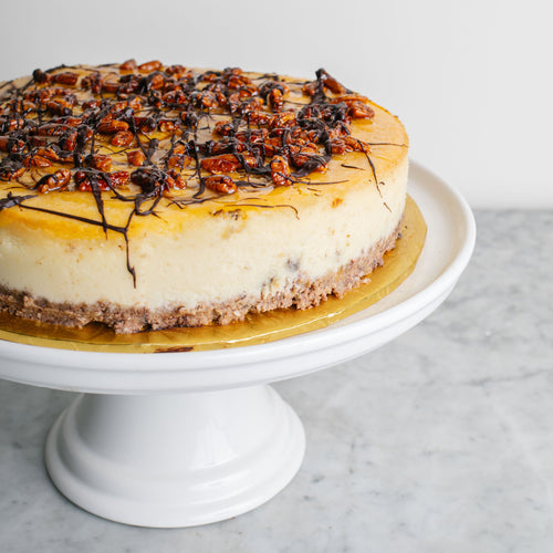 Turtle Cheesecake